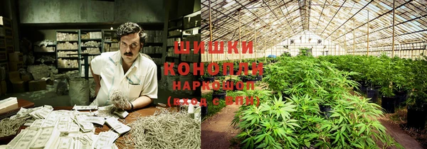 таблы Белокуриха